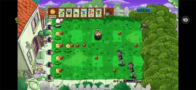 植物大战僵尸Ikun大战黑子版