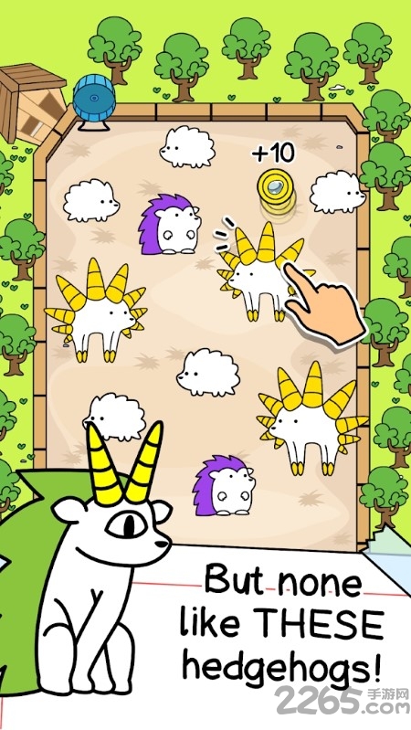刺猬的进化游戏