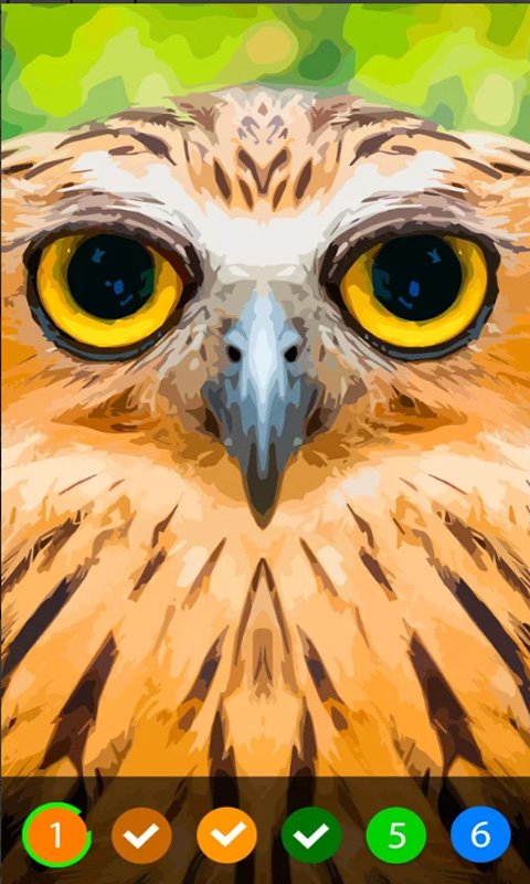 数字填色五彩涂鸦世界游戏 数字填色五彩涂鸦世界下载