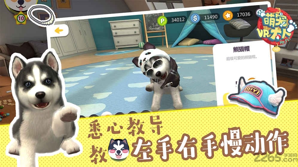 萌宠大人vr爱奇艺版