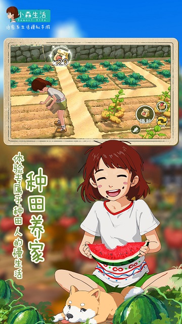 小森生活台服官方版