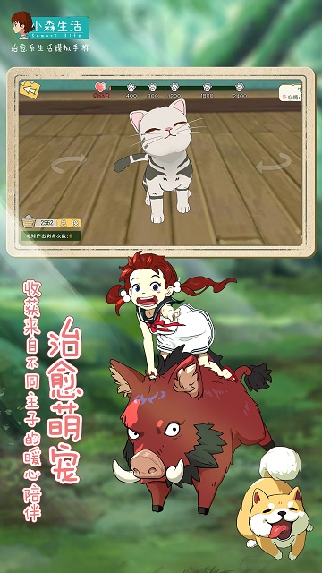 小森生活国际服