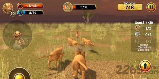 草原之王模拟器游戏