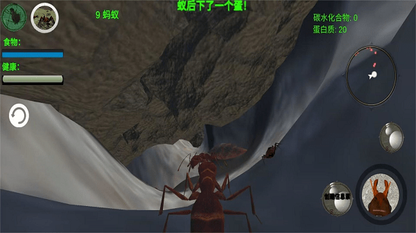 奇妙动物世界探险最新版