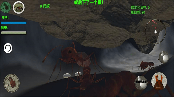 奇妙动物世界探险游戏 奇妙动物世界探险最新版下载