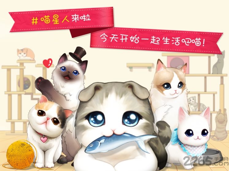 猫猫咖啡屋典藏版