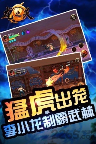 龙之灵游戏 龙之灵手游下载