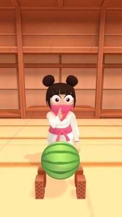 空手道破坏者最新版