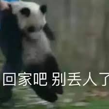 回家吧梗的含义是什么